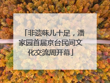 非遗味儿十足，潘家园首届京台民间文化交流周开幕