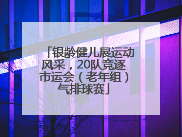 银龄健儿展运动风采，20队竞逐市运会（老年组）气排球赛