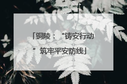铜陵：“铸安行动”筑牢平安防线