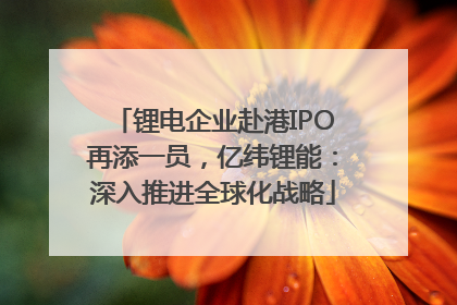 锂电企业赴港IPO再添一员，亿纬锂能：深入推进全球化战略