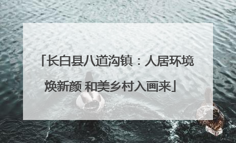 长白县八道沟镇：人居环境焕新颜 和美乡村入画来