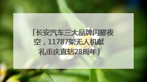 长安汽车三大品牌闪耀夜空，11787架无人机献礼重庆直辖28周年