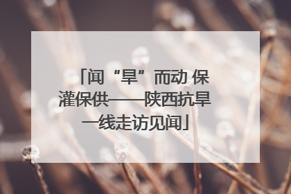 闻“旱”而动 保灌保供——陕西抗旱一线走访见闻