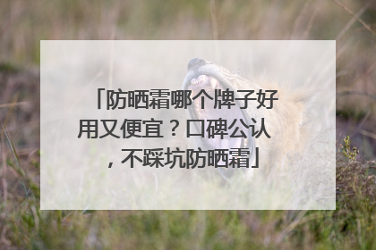 防晒霜哪个牌子好用又便宜？口碑公认，不踩坑防晒霜