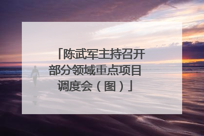 陈武军主持召开部分领域重点项目调度会（图）
