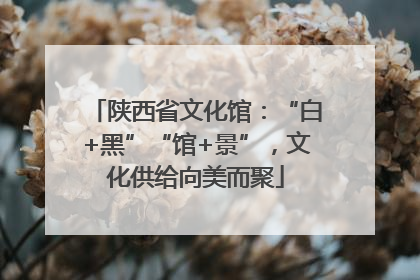 陕西省文化馆：“白+黑”“馆+景”，文化供给向美而聚