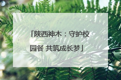 陕西神木：守护校园餐 共筑成长梦