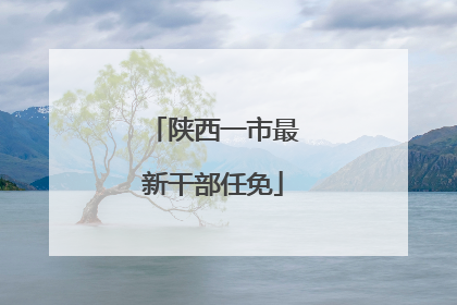 陕西一市最新干部任免