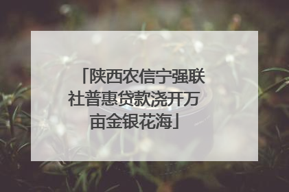 陕西农信宁强联社普惠贷款浇开万亩金银花海