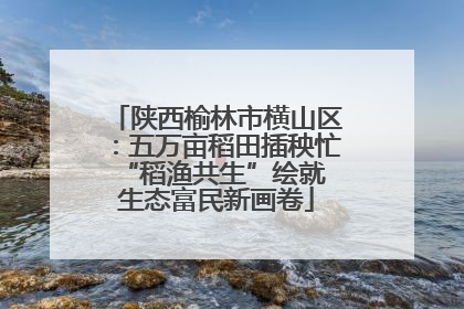 陕西榆林市横山区：五万亩稻田插秧忙 “稻渔共生”绘就生态富民新画卷