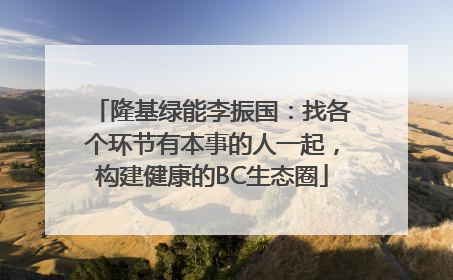 隆基绿能李振国：找各个环节有本事的人一起，构建健康的BC生态圈