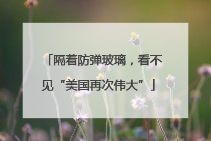 隔着防弹玻璃，看不见“美国再次伟大”