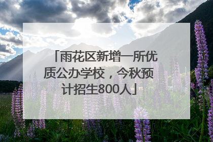 雨花区新增一所优质公办学校，今秋预计招生800人