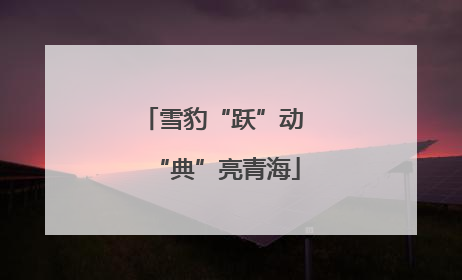 雪豹“跃”动 “典”亮青海
