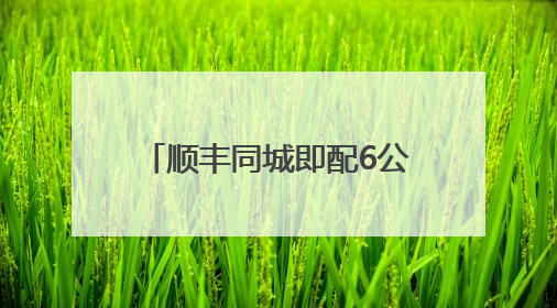 顺丰同城即配6公里低至11元起，端午送礼亲民价格享专业高端服务