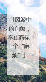 风波中的白象，不止商标一个“麻烦”