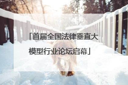 首届全国法律垂直大模型行业论坛启幕