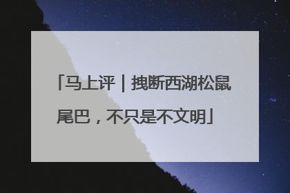 马上评｜拽断西湖松鼠尾巴，不只是不文明