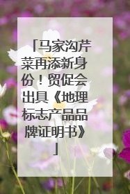 马家沟芹菜再添新身份！贸促会出具《地理标志产品品牌证明书》