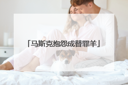 马斯克抱怨成替罪羊
