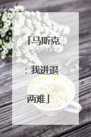 马斯克：我进退两难