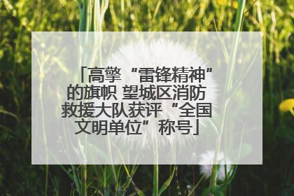 高擎“雷锋精神”的旗帜 望城区消防救援大队获评“全国文明单位”称号