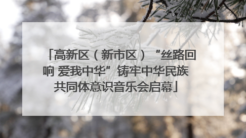 高新区（新市区）“丝路回响 爱我中华”铸牢中华民族共同体意识音乐会启幕