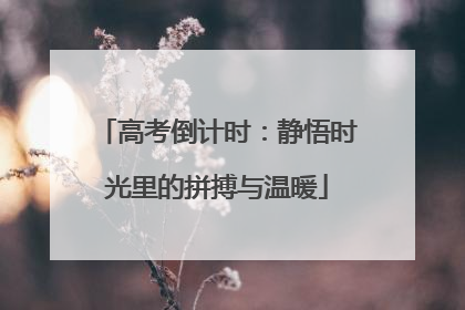 高考倒计时：静悟时光里的拼搏与温暖
