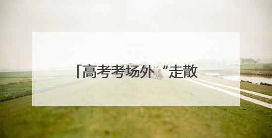 高考考场外“走散” 纱帽街执法队员秒变“寻亲侠”