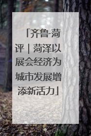 齐鲁·菏评｜菏泽以展会经济为城市发展增添新活力