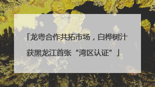 龙粤合作共拓市场，白桦树汁获黑龙江首张“湾区认证”