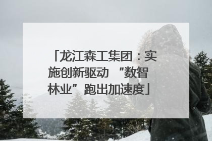 龙江森工集团：实施创新驱动 “数智林业”跑出加速度