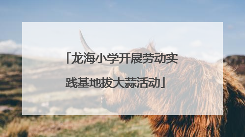 龙海小学开展劳动实践基地拔大蒜活动