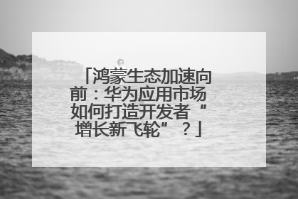 鸿蒙生态加速向前：华为应用市场如何打造开发者“增长新飞轮”？