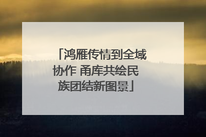 鸿雁传情到全域协作 甬库共绘民族团结新图景