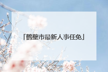 鹤壁市最新人事任免