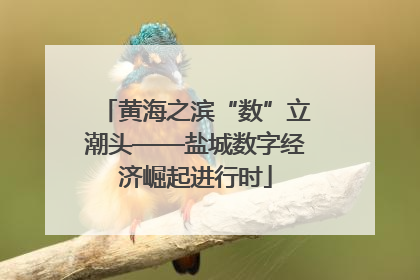 黄海之滨“数”立潮头——盐城数字经济崛起进行时