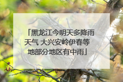 黑龙江今明天多降雨天气 大兴安岭伊春等地部分地区有中雨