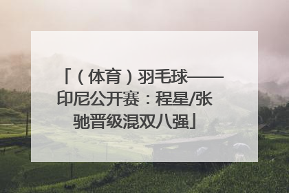 （体育）羽毛球——印尼公开赛：程星/张驰晋级混双八强