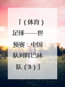 （体育）足球——世预赛：中国队对阵巴林队（3）
