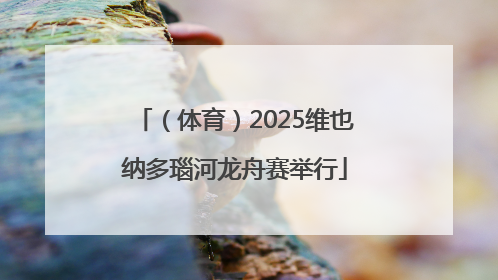 （体育）2025维也纳多瑙河龙舟赛举行