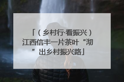 （乡村行·看振兴）江西信丰一片茶叶“沏”出乡村振兴路