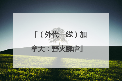 （外代一线）加拿大：野火肆虐