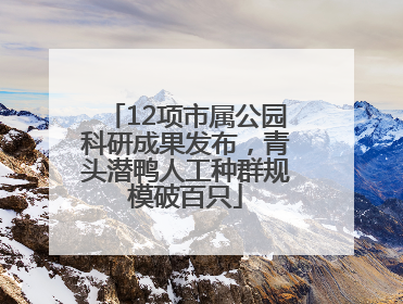 12项市属公园科研成果发布，青头潜鸭人工种群规模破百只