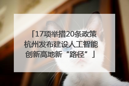 17项举措20条政策 杭州发布建设人工智能创新高地新“路径”