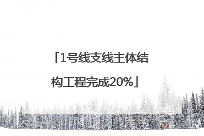 1号线支线主体结构工程完成20%