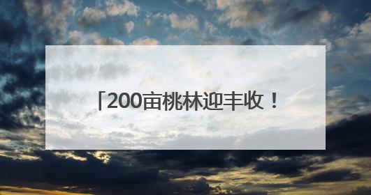 200亩桃林迎丰收！成都龙泉山水蜜桃基地2025采摘季开启