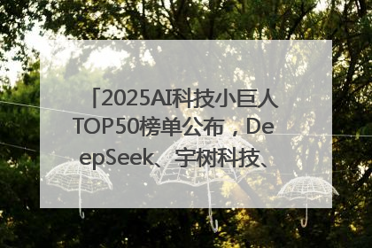 2025AI科技小巨人TOP50榜单公布，DeepSeek、宇树科技、蘑菇车联等企业荣誉上榜