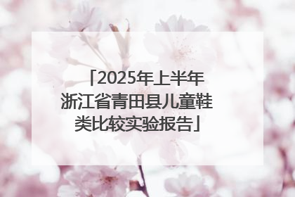2025年上半年浙江省青田县儿童鞋类比较实验报告