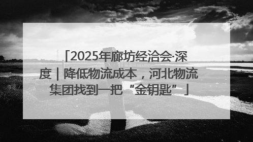 2025年廊坊经洽会·深度｜降低物流成本，河北物流集团找到一把“金钥匙”